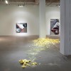 http://www.leslieshows.com:443/files/gimgs/th-4_webLeslieShows1.jpg